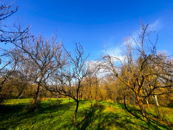 Prodej pozemku 1608 m², Podolí