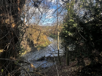 Prodej pozemku 1608 m², Podolí