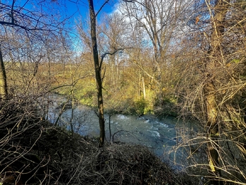 Prodej pozemku 1608 m², Podolí