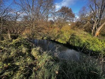 Prodej pozemku 1608 m², Podolí