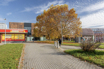 Pronájem bytu 2+kk v družstevním vlastnictví 45 m², Praha 8 - Kobylisy