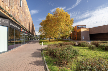 Pronájem bytu 2+kk v družstevním vlastnictví 45 m², Praha 8 - Kobylisy