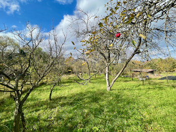 Prodej chaty / chalupy 19 m², Lipník nad Bečvou