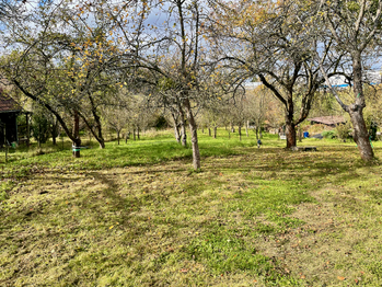 Prodej chaty / chalupy 19 m², Lipník nad Bečvou