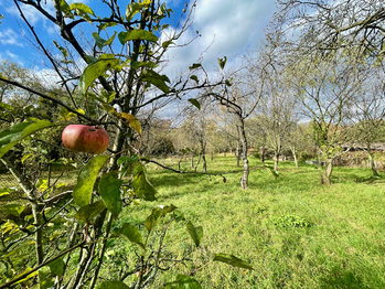 Prodej chaty / chalupy 19 m², Lipník nad Bečvou