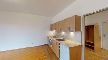 Pronájem bytu 1+kk v osobním vlastnictví 62 m², Holubice