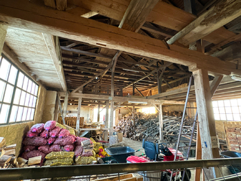 Prodej pozemku 7528 m², Chodová Planá