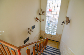 Prodej domu 160 m², Diváky