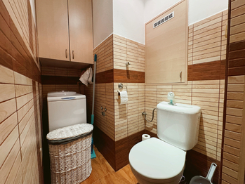 Pronájem bytu 2+1 v osobním vlastnictví 64 m², Písek