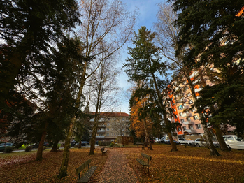 Pronájem bytu 2+1 v osobním vlastnictví 64 m², Písek