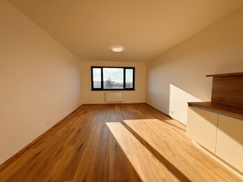 Pronájem bytu 1+kk v osobním vlastnictví 38 m², Písek