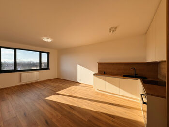 Pronájem bytu 1+kk v osobním vlastnictví 38 m², Písek