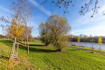 100 m od domu - Prodej bytu 3+kk v družstevním vlastnictví 82 m², Nymburk