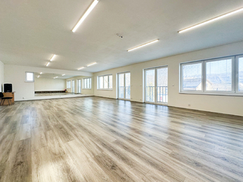 společenský sál - Prodej nájemního domu 300 m², Štěchovice