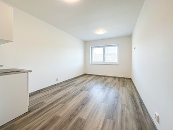 kancelář 3 - Prodej nájemního domu 300 m², Štěchovice