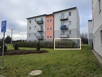 Pronájem bytu 2+kk v osobním vlastnictví 738 m², Mohelnice