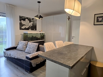 Pronájem bytu 2+kk v osobním vlastnictví 738 m², Mohelnice