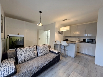 Pronájem bytu 2+kk v osobním vlastnictví 738 m², Mohelnice