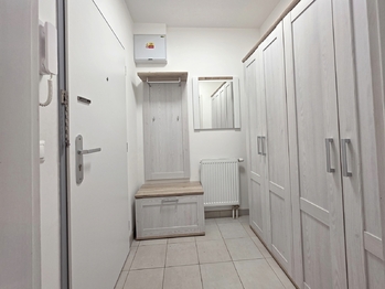 Pronájem bytu 2+kk v osobním vlastnictví 738 m², Mohelnice