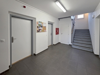 Pronájem bytu 2+kk v osobním vlastnictví 738 m², Mohelnice