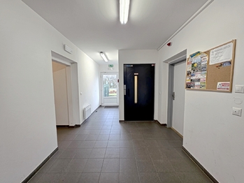 Pronájem bytu 2+kk v osobním vlastnictví 738 m², Mohelnice