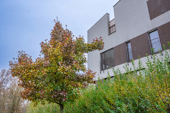 Prodej bytu 3+kk v osobním vlastnictví 83 m², Havlíčkův Brod