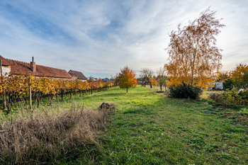 Prodej rodinného domu, 200 m2, Šakvice - Prodej domu 200 m², Šakvice