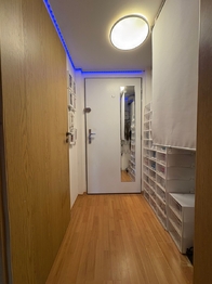 Předsíň - Prodej bytu 2+kk v osobním vlastnictví 50 m², Praha 3 - Žižkov