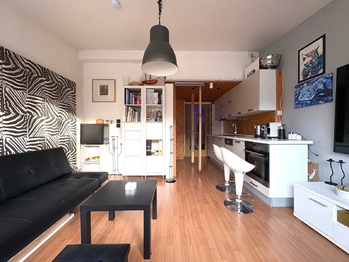 Prodej bytu 2+kk v osobním vlastnictví 50 m², Praha 3 - Žižkov