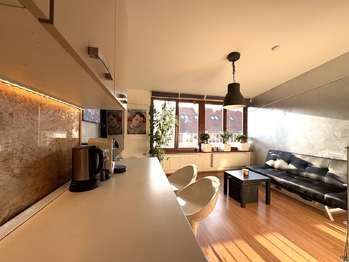 Prodej bytu 2+kk v osobním vlastnictví 50 m², Praha 3 - Žižkov