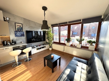 Prodej bytu 2+kk v osobním vlastnictví 50 m², Praha 3 - Žižkov