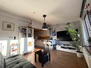 Prodej bytu 2+kk v osobním vlastnictví 50 m², Praha 3 - Žižkov