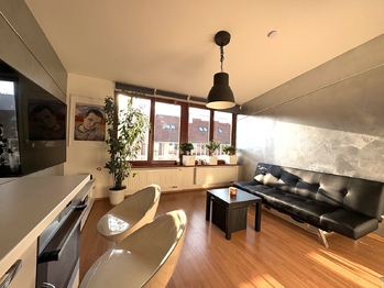 Prodej bytu 2+kk v osobním vlastnictví 50 m², Praha 3 - Žižkov