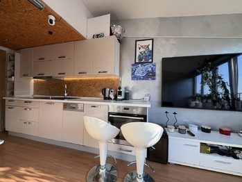 Kuchyňská linka - Prodej bytu 2+kk v osobním vlastnictví 44 m², Praha 3 - Žižkov