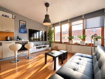 Prodej bytu 2+kk v osobním vlastnictví 44 m², Praha 3 - Žižkov