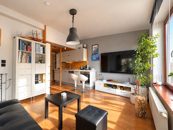 Prodej bytu 2+kk v osobním vlastnictví 44 m², Praha 3 - Žižkov