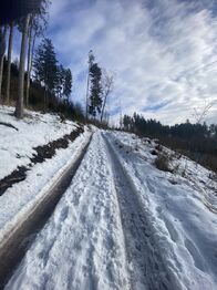 Prodej chaty / chalupy 197 m², Stará Paka