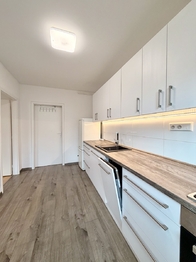 Pronájem bytu 1+1 v osobním vlastnictví 43 m², Ostrava