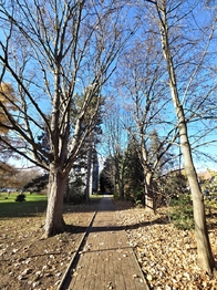 Prodej bytu 2+1 v družstevním vlastnictví 54 m², Praha 6 - Suchdol