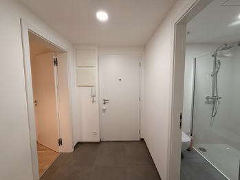 Pronájem bytu 2+kk v osobním vlastnictví 54 m², Praha 2 - Vinohrady