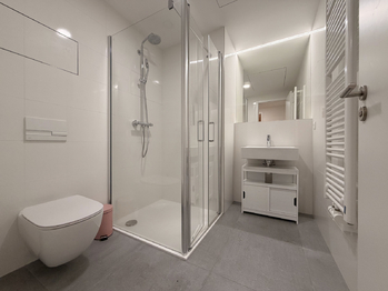 Pronájem bytu 2+kk v osobním vlastnictví 54 m², Praha 2 - Vinohrady