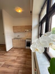 Pronájem bytu 3+kk v osobním vlastnictví 55 m², Řehenice