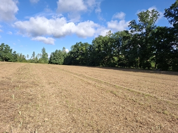 Pozemek parc. č. 33/1 - Prodej pozemku 29662 m², Onšov