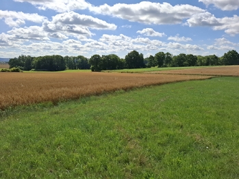 Pozemek parc. č. 65 a 66 - Prodej pozemku 29662 m², Onšov