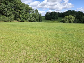 Pozemek parc. č. 118/2 - Prodej pozemku 29662 m², Onšov