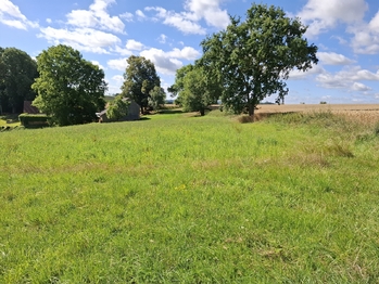 Pozemek parc. č. 142/4 - Prodej pozemku 29662 m², Onšov