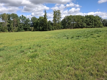 poPozemek parc. č. 239/17, 198/7 a 239/7 - Prodej pozemku 29662 m², Onšov