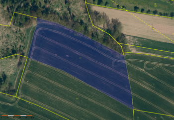 Pozemek parc. č. 33/1 - Prodej pozemku 29662 m², Onšov