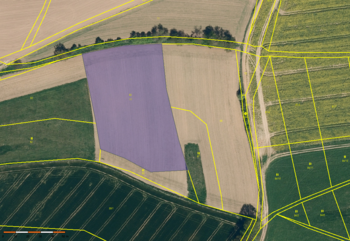 Pozemek parc. č. 65 - Prodej pozemku 29662 m², Onšov