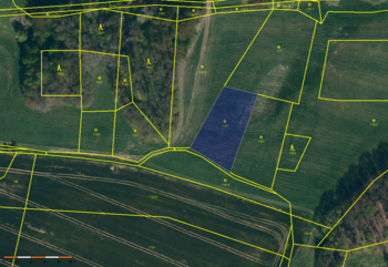 Pozemek parc. č. 118/2 - Prodej pozemku 29662 m², Onšov